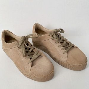 Sneakers  Steve Madden